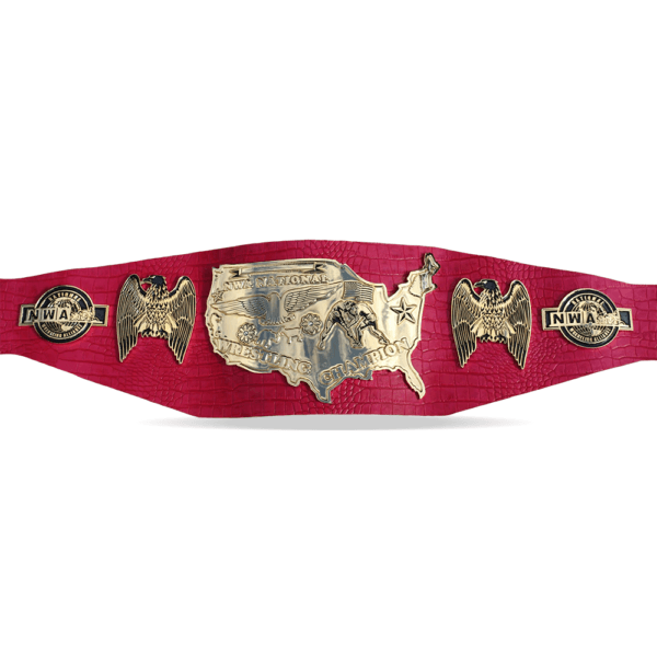 NWA Old School World Heavyweight Wrestling Championship Title Belt