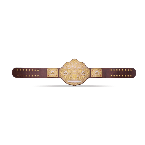 NWA Women’s Television Wrestling Championship Title Belt