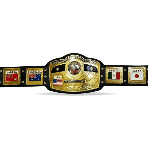 NWA Domed Globe World Heavyweight Championship Title Belt