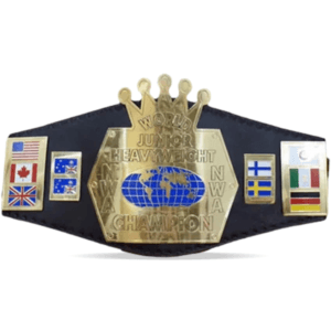 NWA Junior Heavyweight Wrestling Championship Title Belt